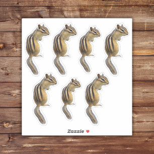 Cute Chipmunk Stickers