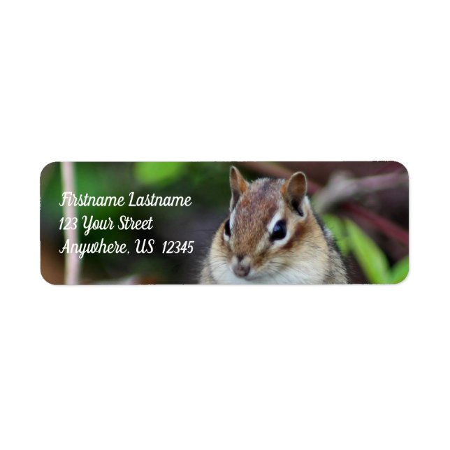 Cute Chipmunk Wildlife Animal Address (Front)