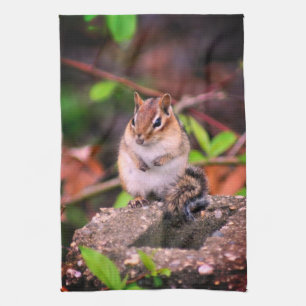 Cute Chipmunk Wildlife  Tea Towel