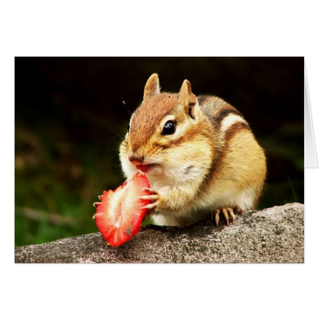 Cute Chipmunk with Juicy Strawberry Card (Front Horizontal)