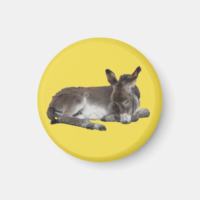 Cute chocolate donkey baby foal sleeping magnet (Front)