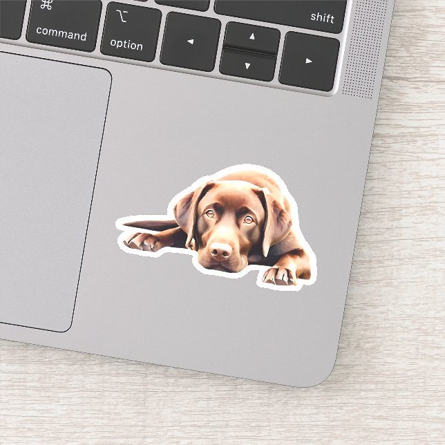 Cute Chocolate Lab  (Detail)
