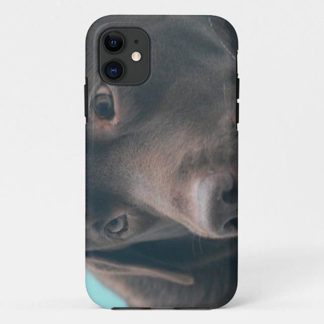 Cute Chocolate Lab Case-Mate iPhone Case (Back)