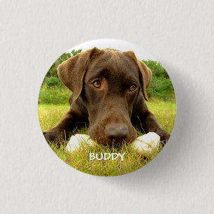 Cute Chocolate Labrador Custom 3 Cm Round Badge