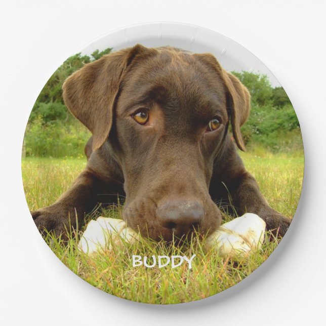 Cute Chocolate Labrador Custom Paper Plate (Front)