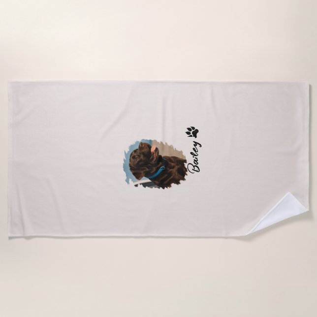 Cute Chocolate Labrador Dog – Bailey | Pet Gift Beach Towel (Front)