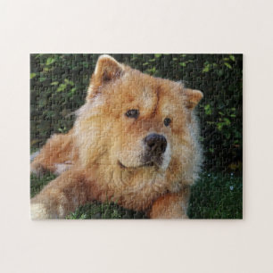 Cute Chow Chow dog Jigsaw Puzzle