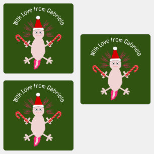 Cute Christmas Axolotl Custom