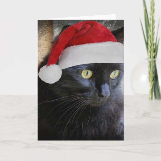 Cute Christmas Card, Pretty Black Cat w Santa Cap Holiday Card (Front)