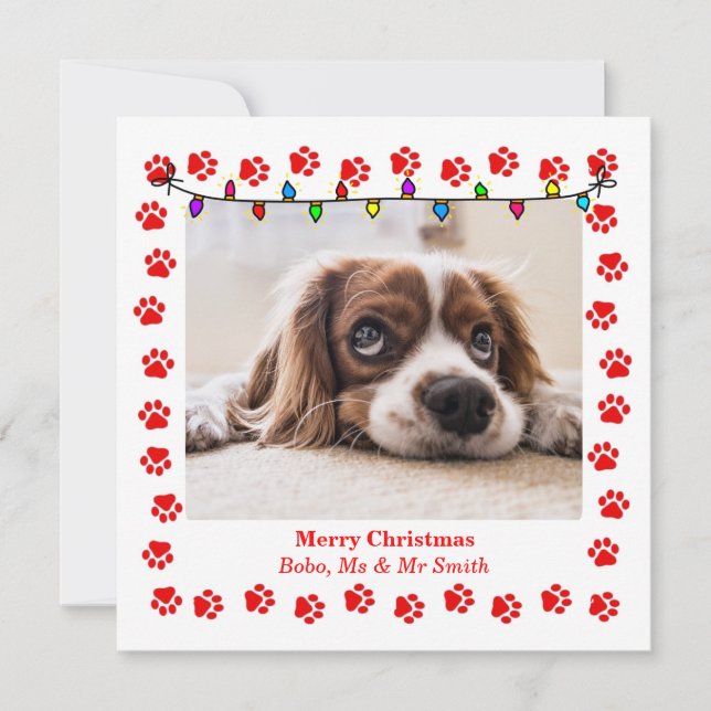 Cute Christmas Card with Custom Picture & paws (Front)