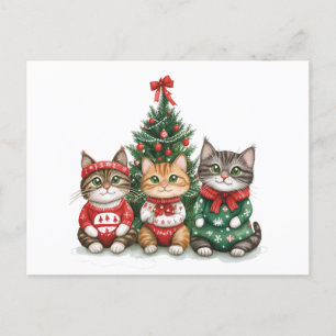 Cute Christmas Cats Holiday Postcard