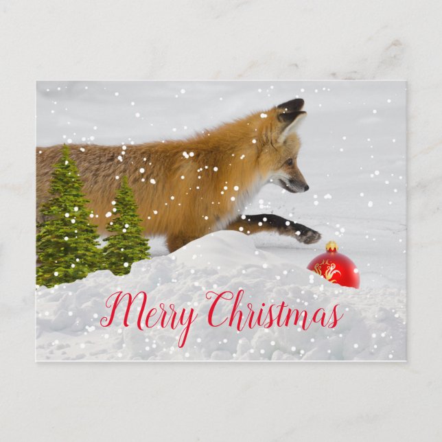 Cute Christmas Fox and Red Ornament Postcard (Front)