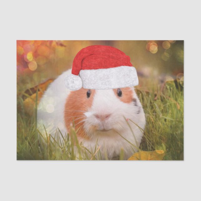 cute christmas guinea pig tissue paper (Front)