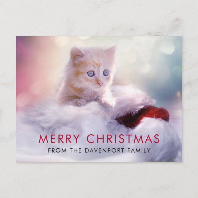 Cute Christmas Kitten Holiday Postcard (Front)