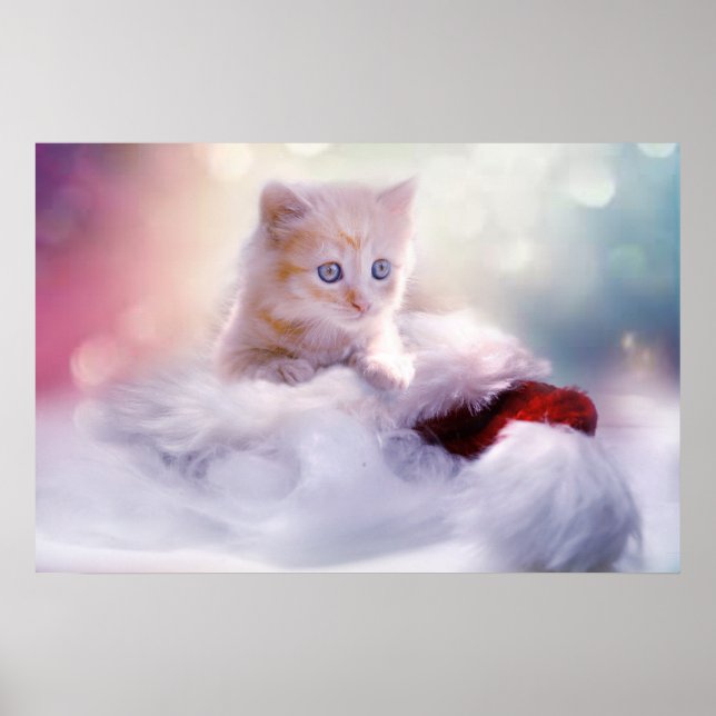 Cute Christmas Kitten Photograph Poster (Front)