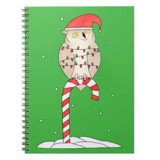 Cute Christmas Owl Notebook