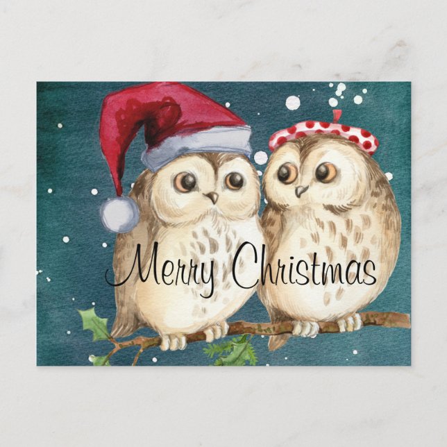 Cute Christmas Owls Holiday Postcard (Front)
