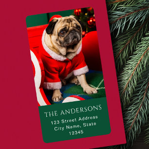 Cute Christmas Peppy Dog Pet Photo Lover Red Green