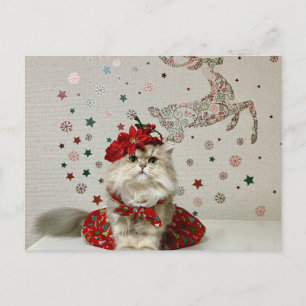 Cute Christmas Persian Cat  Holiday Postcard
