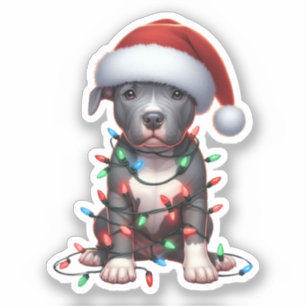 Cute Christmas Pitbull