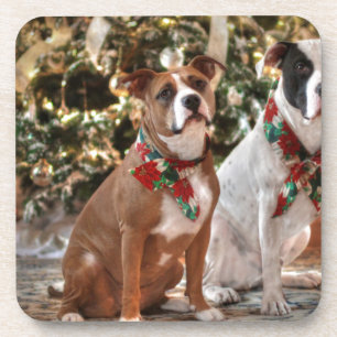 Cute Christmas Rescue Pitbull and America Bull Dog Coaster