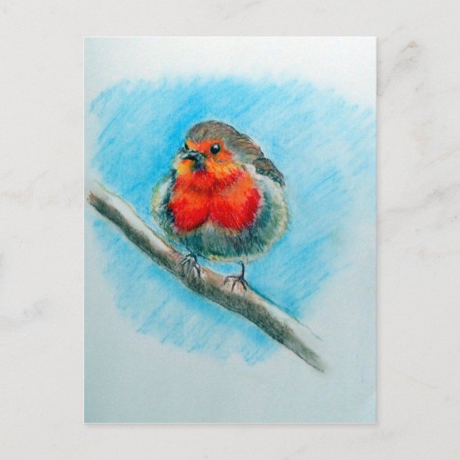 Cute Christmas Robin Postcard (Front)