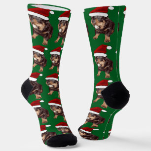 Cute Christmas Rottweiler With Red Santa Hat Socks