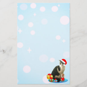 Cute Christmas Tabby Cat, light orbs on sky blue. Stationery