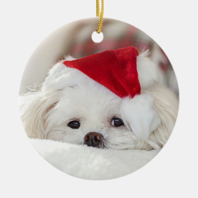 Cute Christmas White Maltese Puppy Dog Ceramic Tree Decoration (Front)