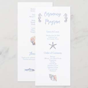 cute coastal programme