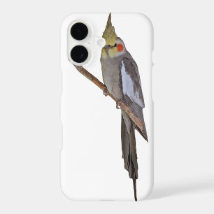 Cute Cockatiel iPhone 11 Case (choose colour)