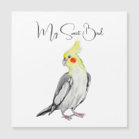 Cute Cockatiel Watercolor Parrot.