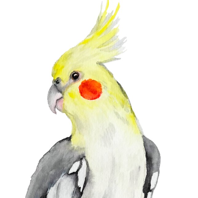 Cute Cockatiel Watercolor Parrot.  T-Shirt (Creator Uploaded)
