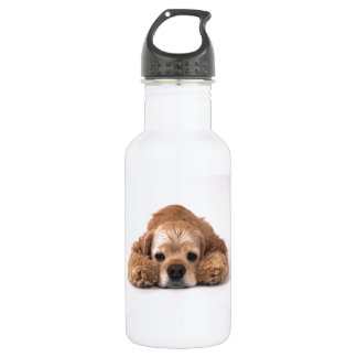 Cute Cocker Spaniel 532 Ml Water Bottle