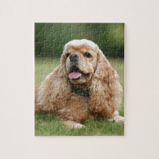 Cute Cocker Spaniel Jigsaw Puzzle