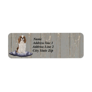 Cute Cocker Spaniel Sitting On Blue Cushion