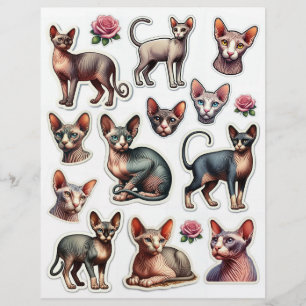 Cute collection of Hairless Cat Illustrations