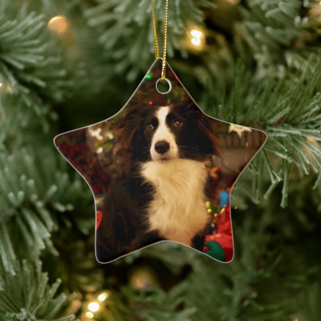 Cute Collie and Christmas Tree Ceramic Tree Decoration (Tree)