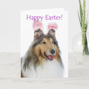 Cute Collie Easter Card