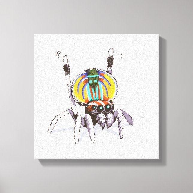 Cute Colorful Peacock Spider Drawing Art Canvas (Front)