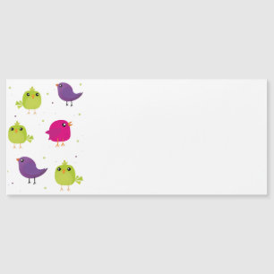 Cute colourful birds