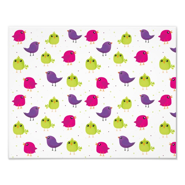 Cute colourful birds  photo print (Front)