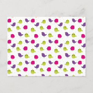 Cute colourful birds   postcard