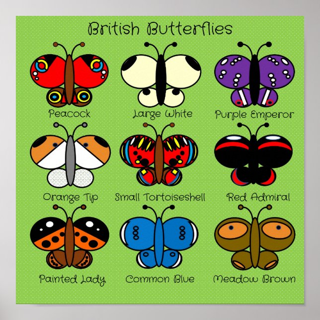 Cute Colourful British Butterfly Poster (Front)