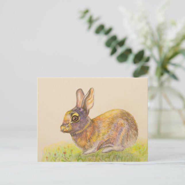 Cute colourful Bunny drawing art Holiday Postcard (Standing Front)