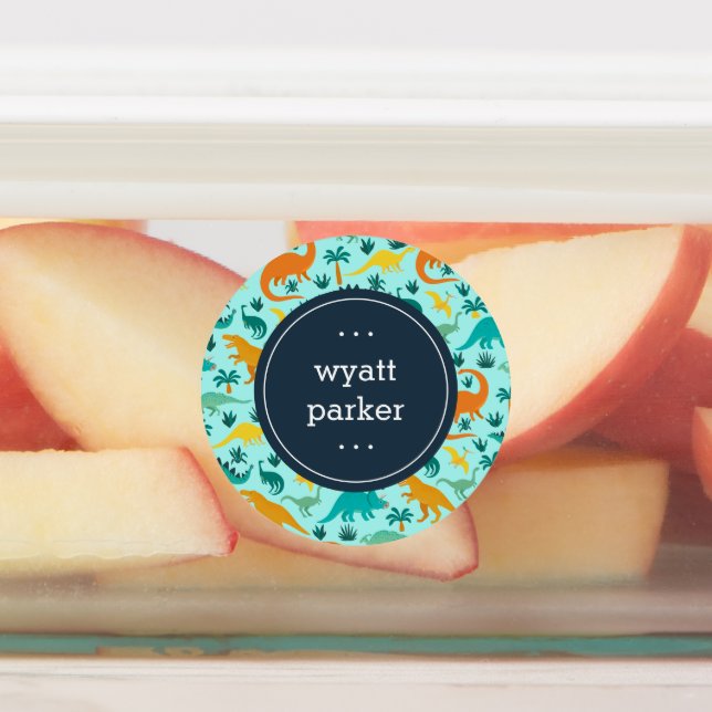 Cute Colourful Dinosaur Pattern Kids Name (Affixed)