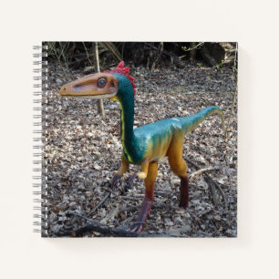 Cute Colourful Dinosaur Square Notebook