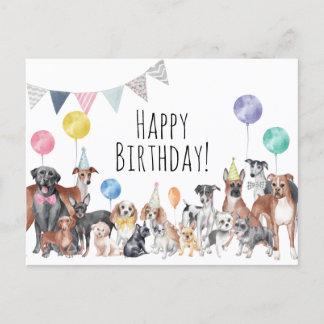 Cute Colourful Dog Happy Birthday  Postcard