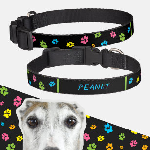 Cute Colourful Dog Paws Pattern Custom name Black Pet Collar