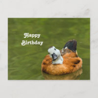 Cute Colourful Duck Photo Birthday